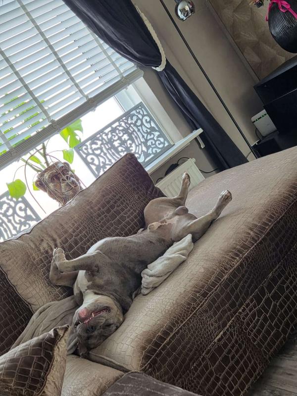 Odin