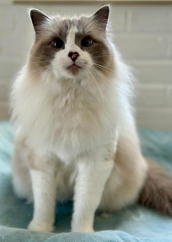 Sam