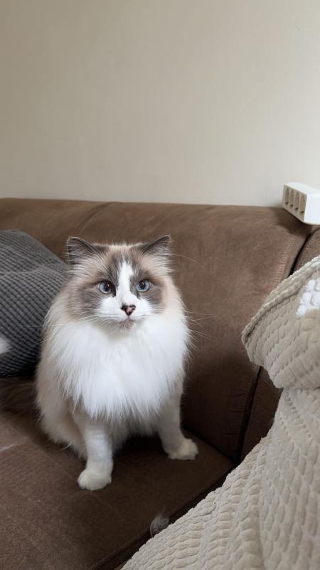 Sam