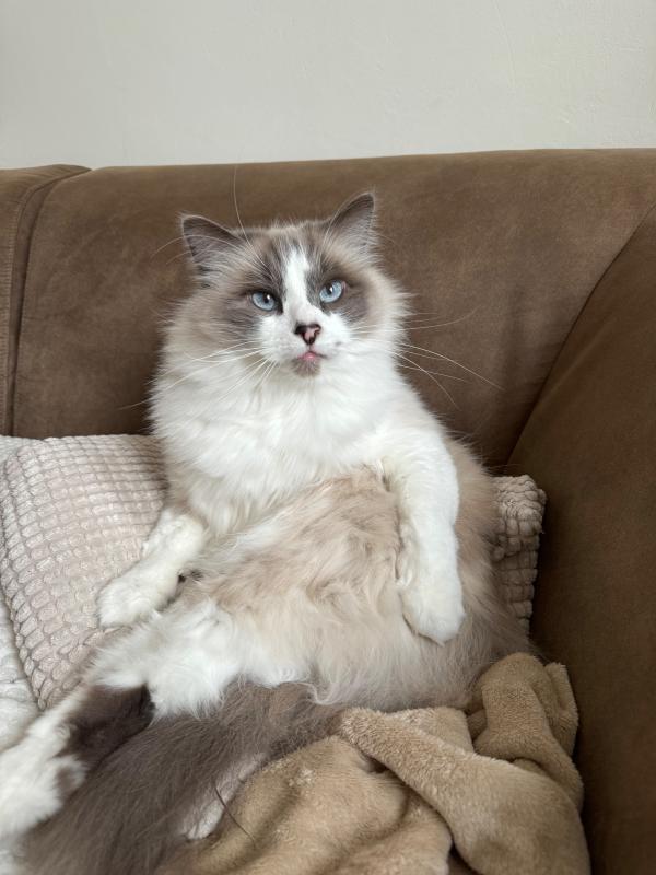 Sam
