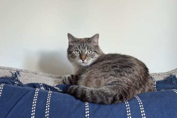 Milo