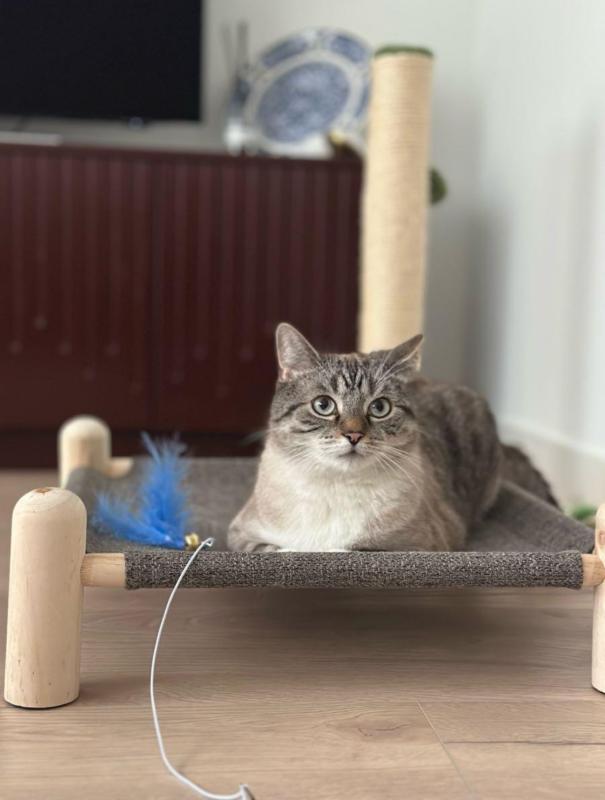 Milo