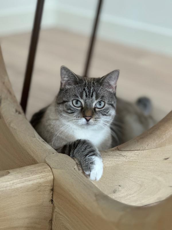 Milo