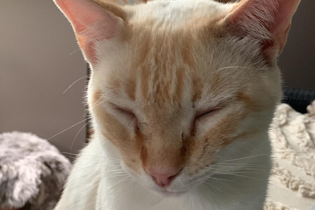 Oslo