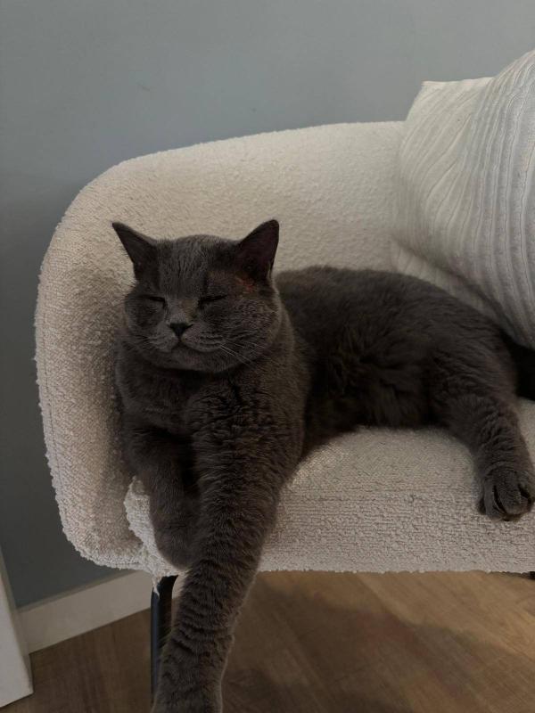 Pip