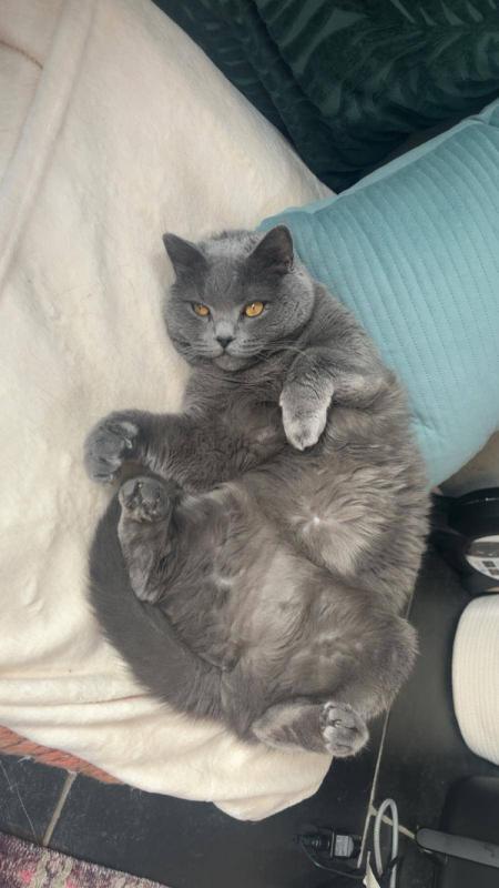 Pip