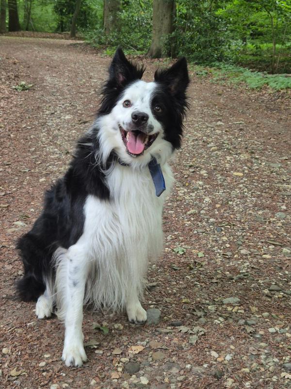 Skye