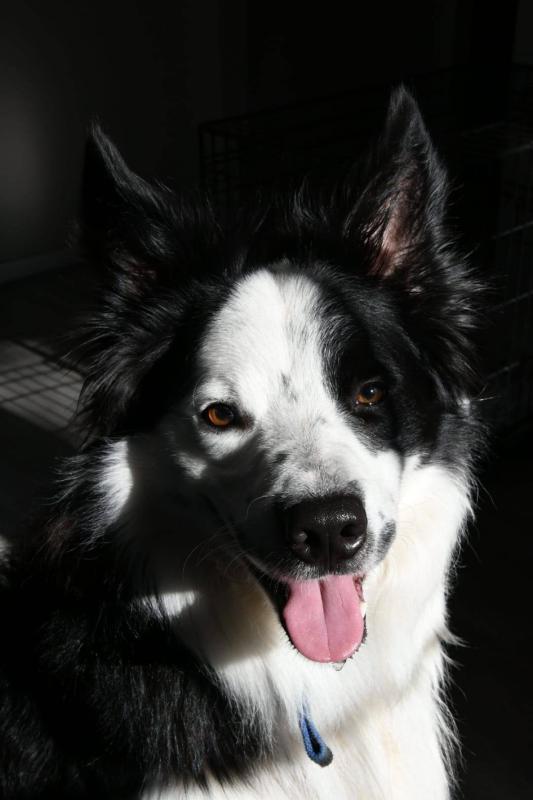 Skye