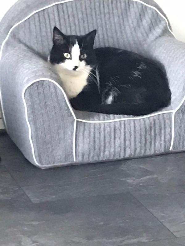 Bella