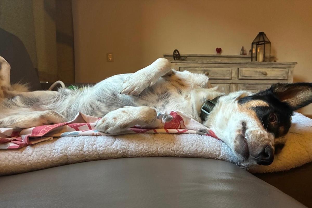 Lucky