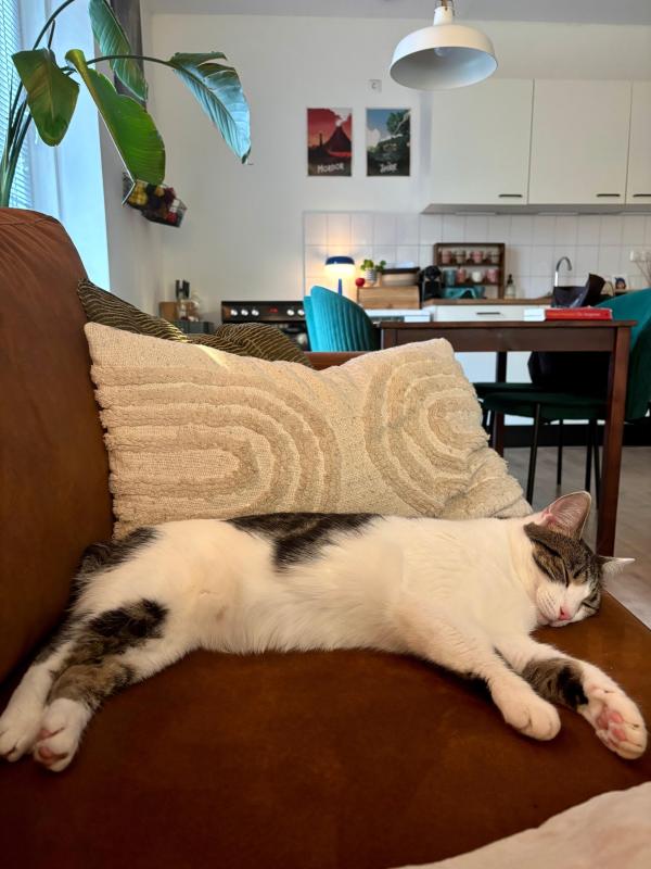 Lily