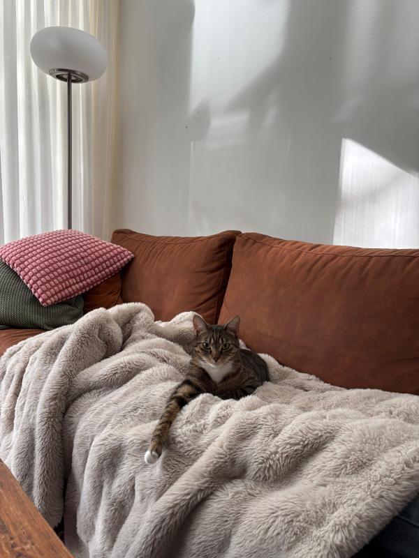 Nala