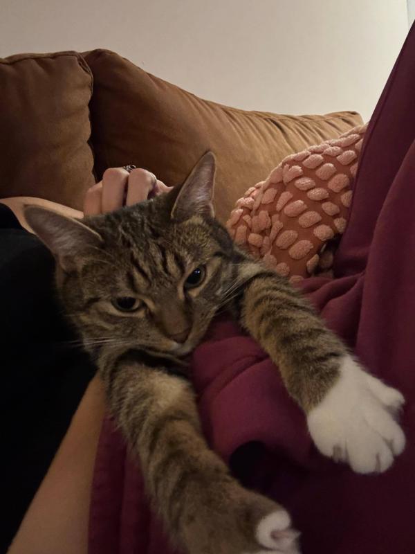 Nala