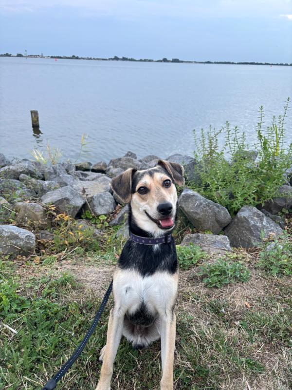 Tobi