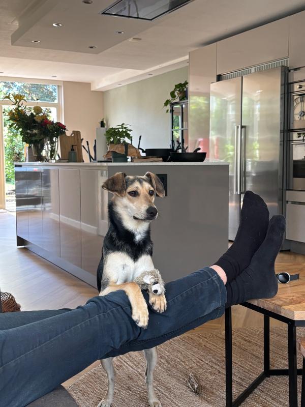 Tobi