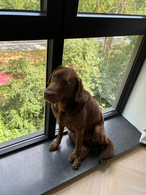 Milo