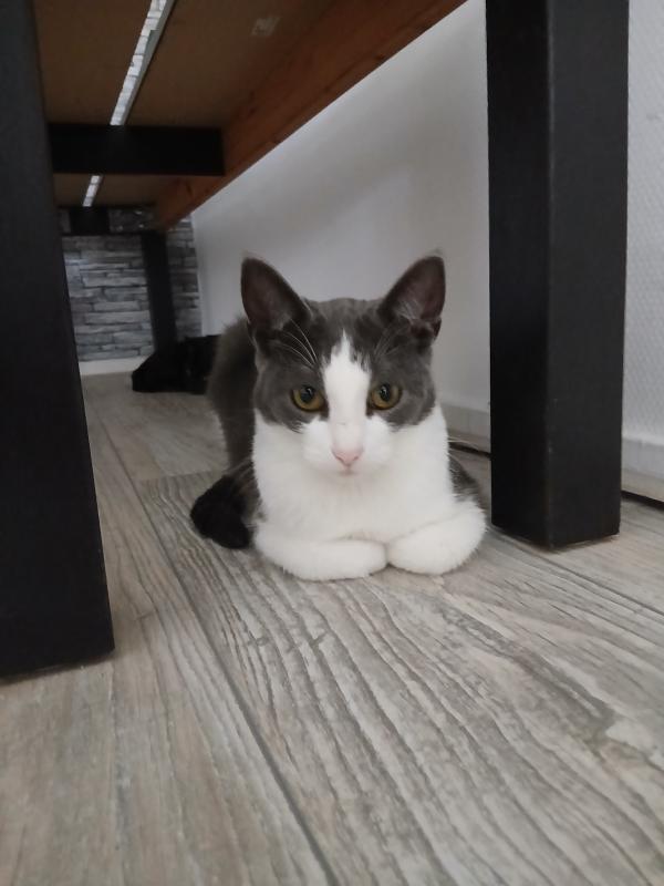 Luna