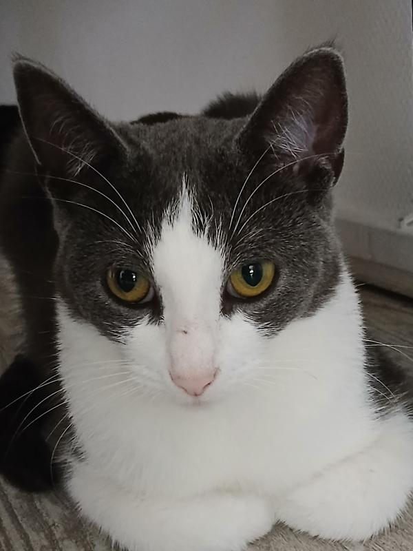 Luna