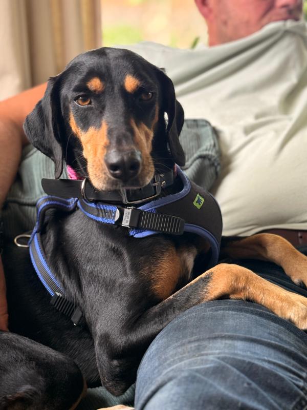 Zina