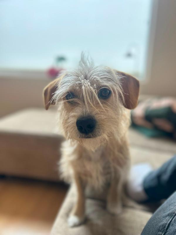 Ayla