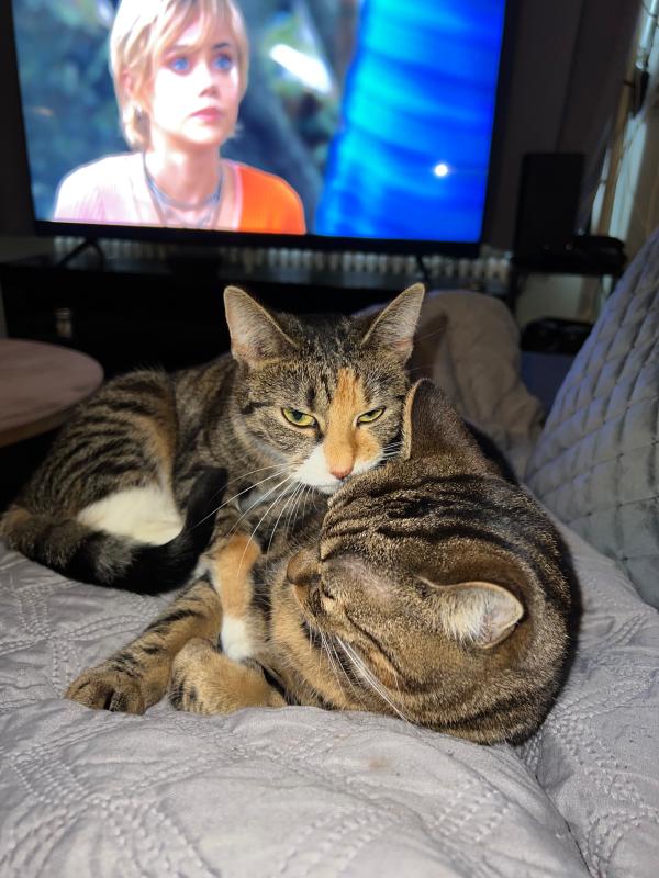 Nala