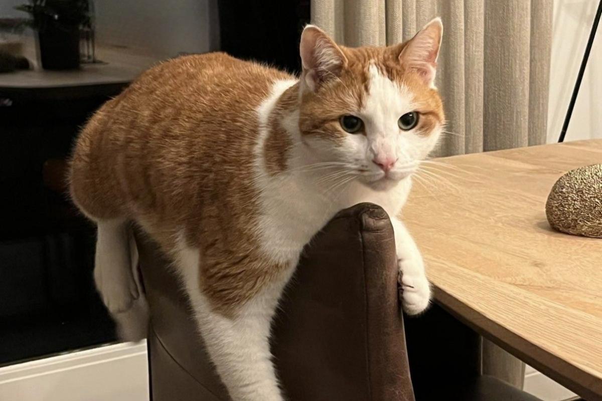Sam