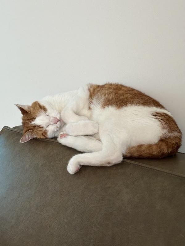 Sam