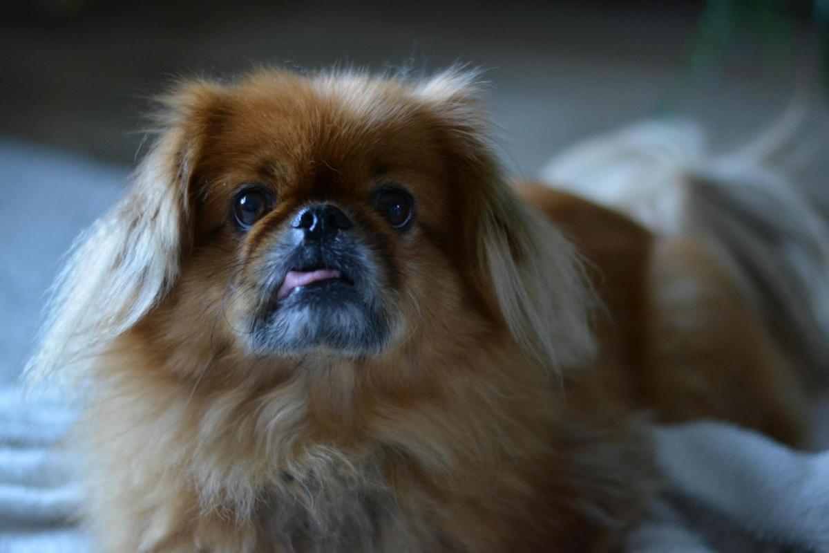 Maggie