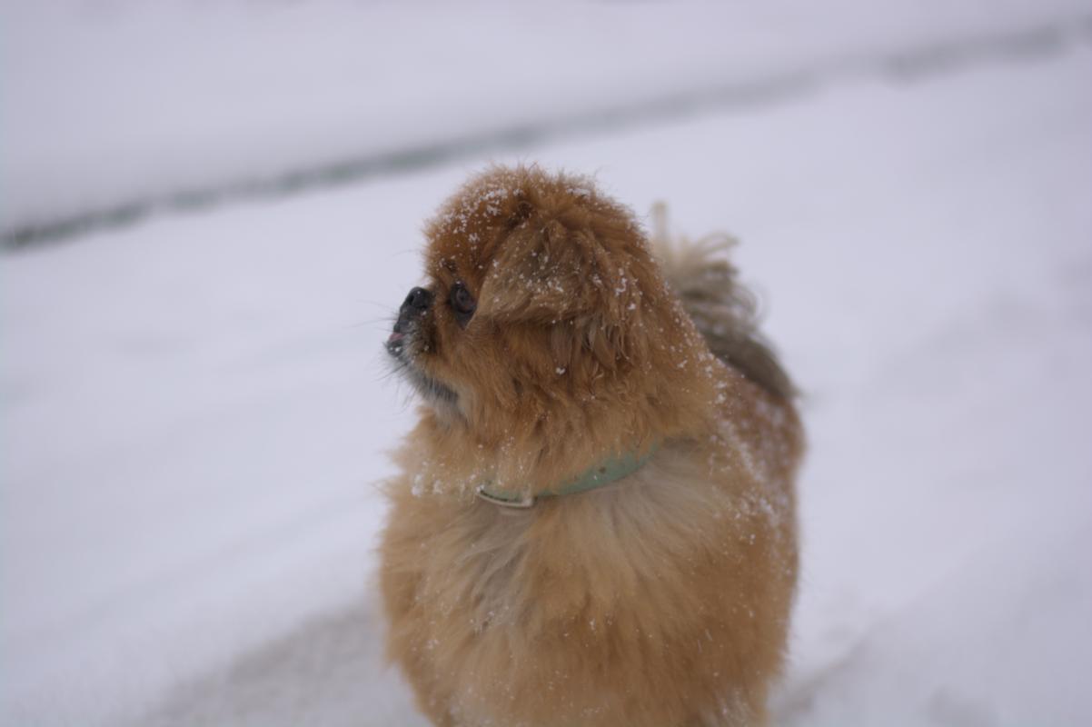 Maggie
