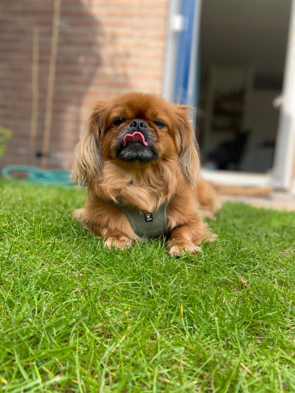 Maggie