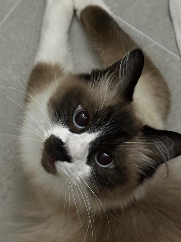 Prince