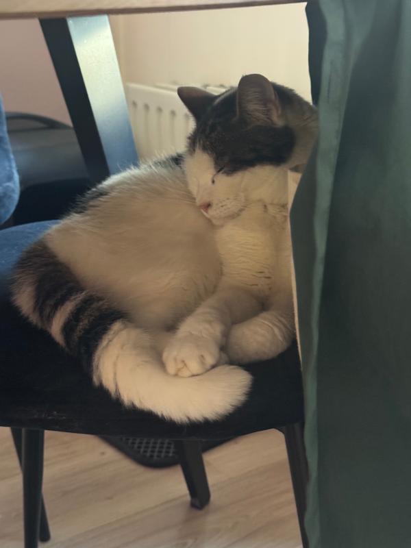Coco