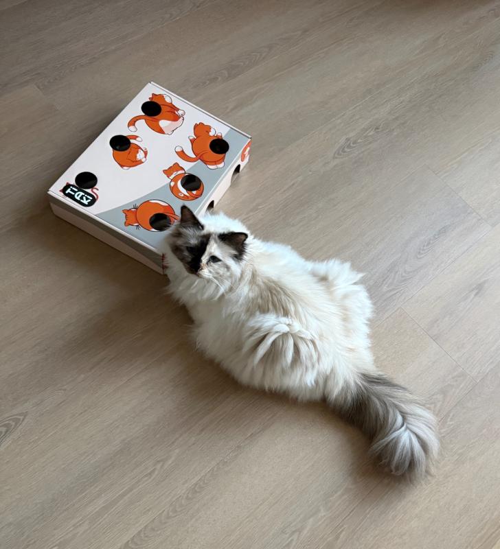 Loulou