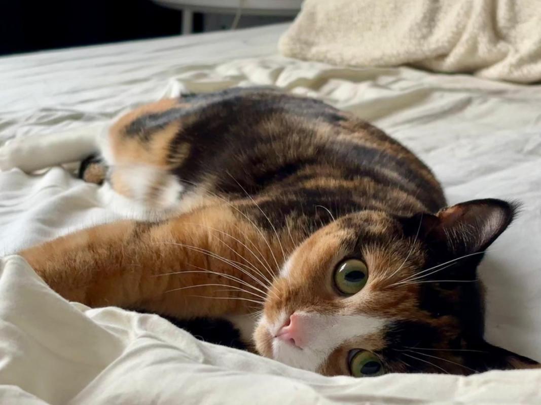 Lilly