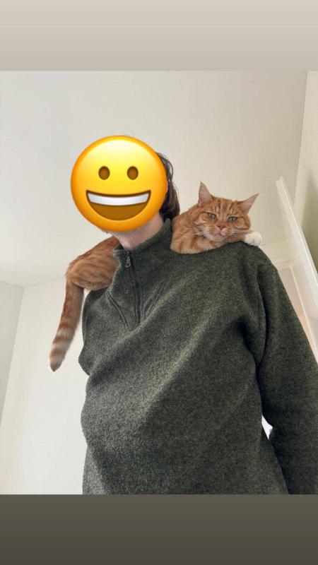 Rasmus