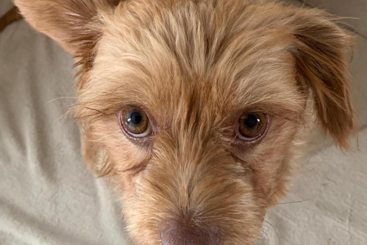 Sophie