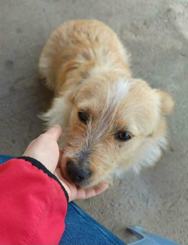 Bodhi
