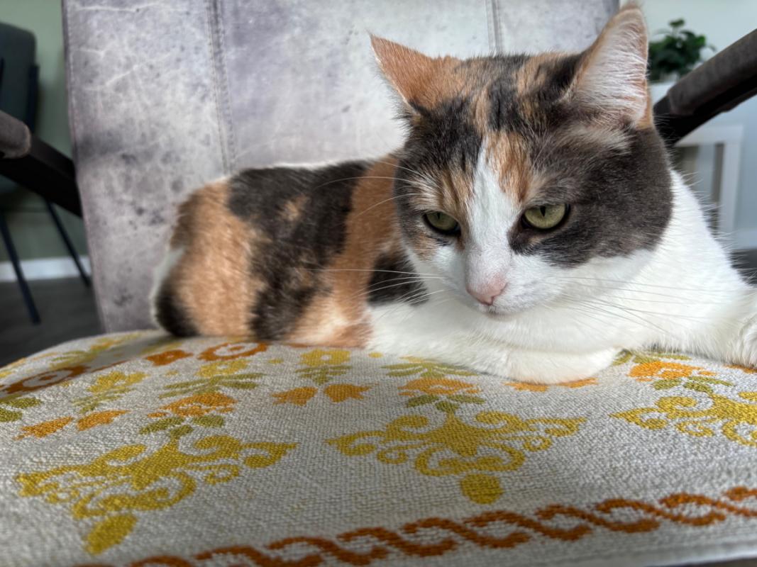 Luna