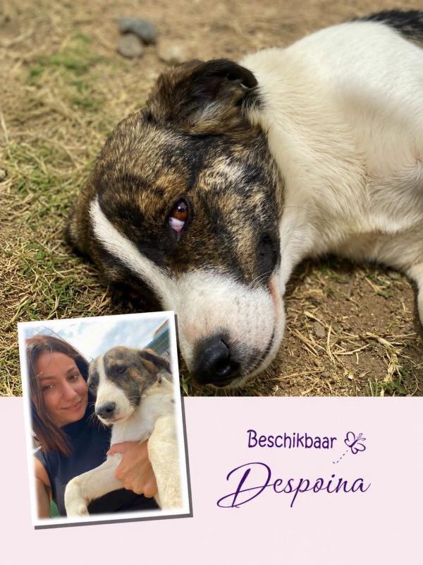 Despoina