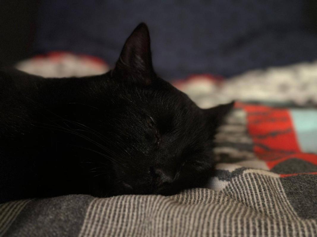 Prince