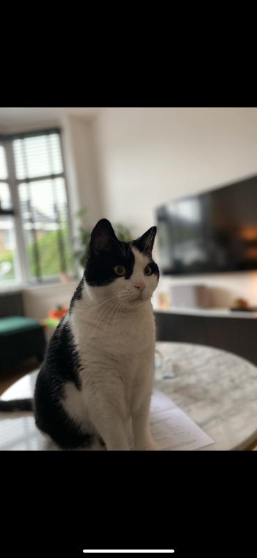 Charlie