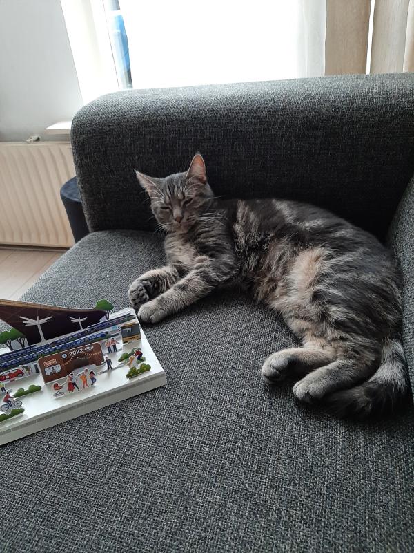 Keetje