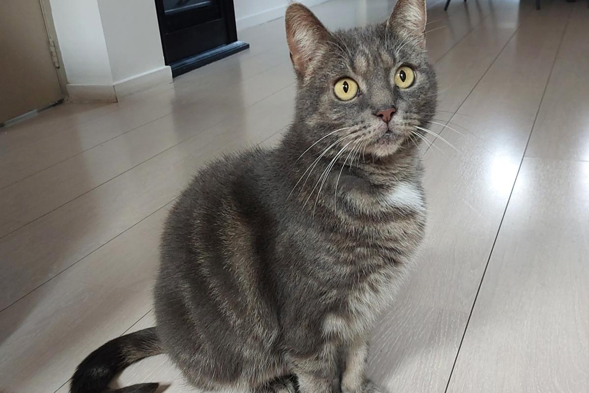 Keetje