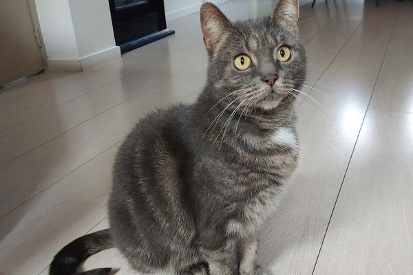 Keetje