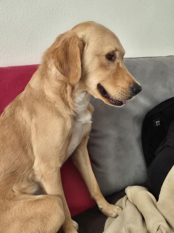 Gloria