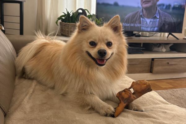 Paco