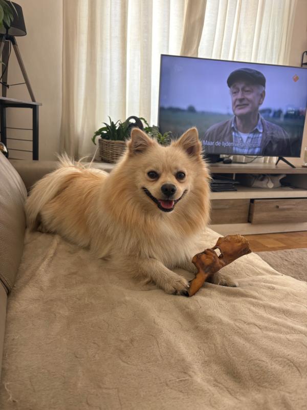 Paco