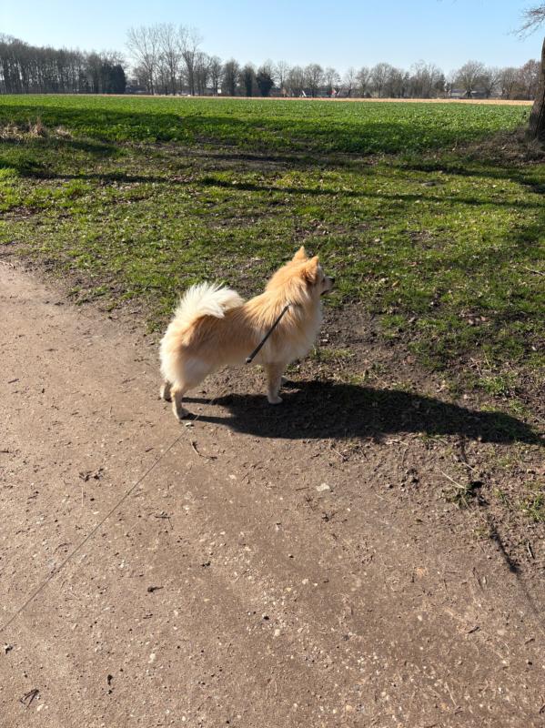 Paco