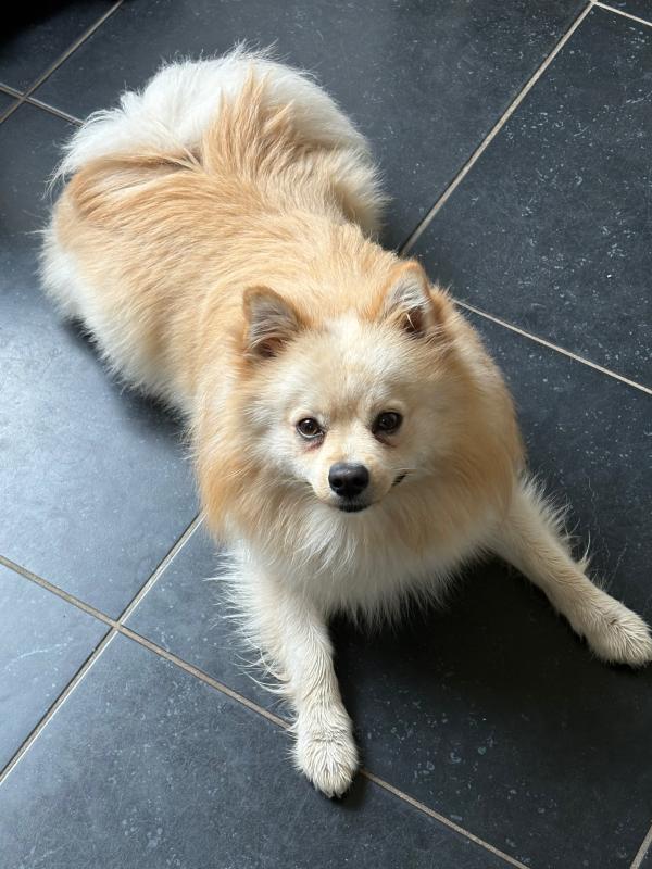 Paco