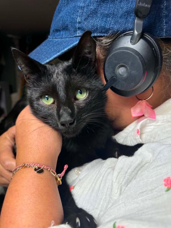 Niko